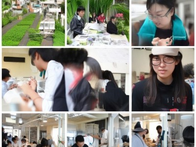 梧州商贸学校，实习与发展的路径