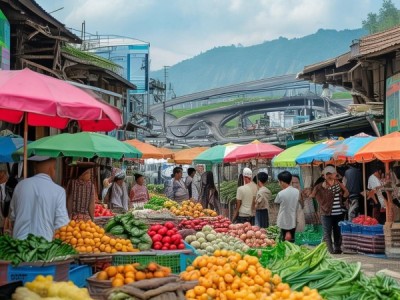 助力乡村振兴，打造高效农产品商贸网络