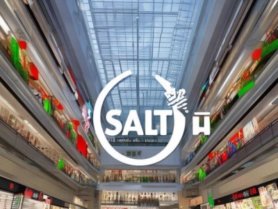 盐源县国源商贸城项目招标方案