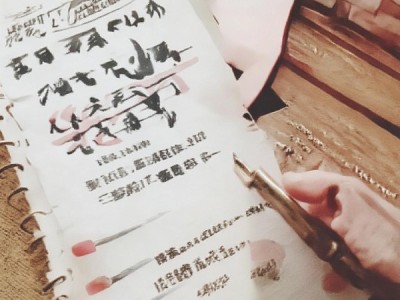 芦田商贸城，新闻热点与未来发展