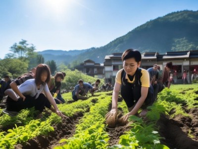 安徽商贸职业学院项目，助力乡村振兴的创新实践