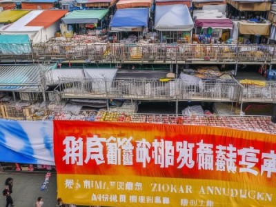 曲周商贸城Baomingzhi招标公告