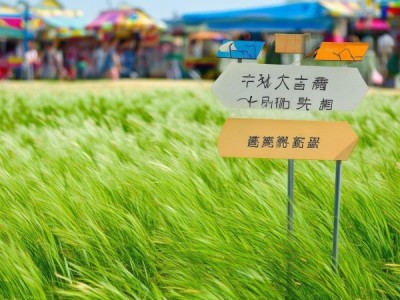 小草精选商贸行业怎么样