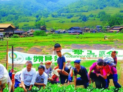 遵义商贸局助力乡村振兴，携手发展，共筑ures