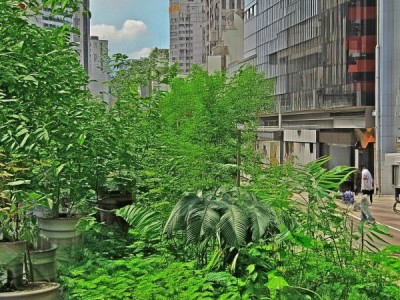 绿色商贸，新时尚，新机遇，新挑战