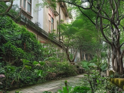 黔西南州新合作商贸城，一场 spatial 赋能的商业奇迹