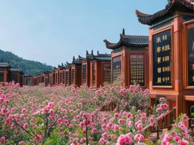 桃林商贸合作企业排行榜