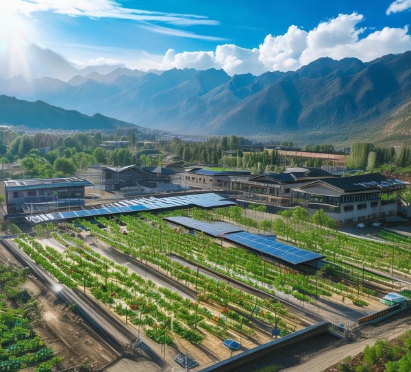 大荔县秦航商贸项目,blockchain技术助力乡村振兴的创新实践 大荔县秦航商贸项目,blockchain技术助力乡村振兴的创新实践
