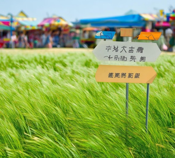 小草精选商贸行业怎么样