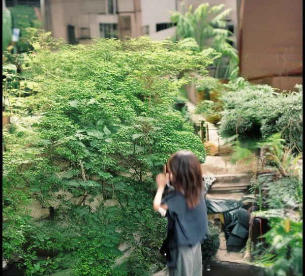 宝鸡市国际商贸城，机遇与挑战的双重魅力