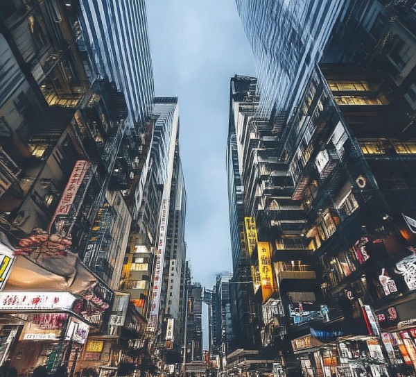 懿泽堂商贸，电商行业中的璀璨与发展之路